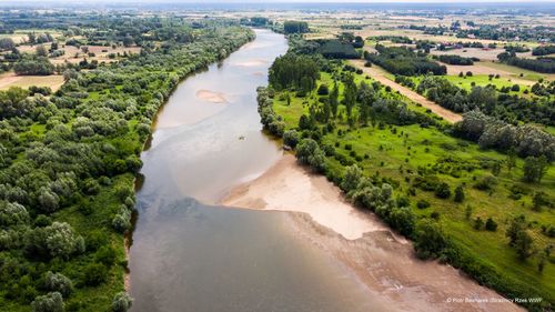 Zapraszamy do udziału w akcji WWF Polska - Rzeka urzeka